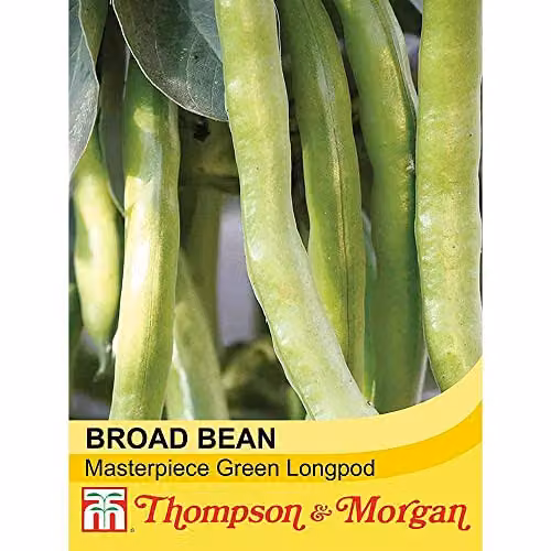 Thompson and Morgan Broad Bean Masterpiece Green Longpod Vegetable Seeds, 30 Seeds per Packet – 2