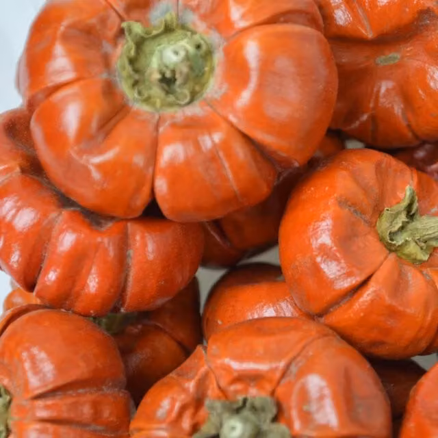 Natural Crafts Red Decorative Dried Mini Pumpkins, Pack of 10