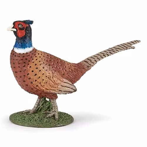 Papo Wild Life Collection Realistic Pheasant Figure in Brown and Multicolour