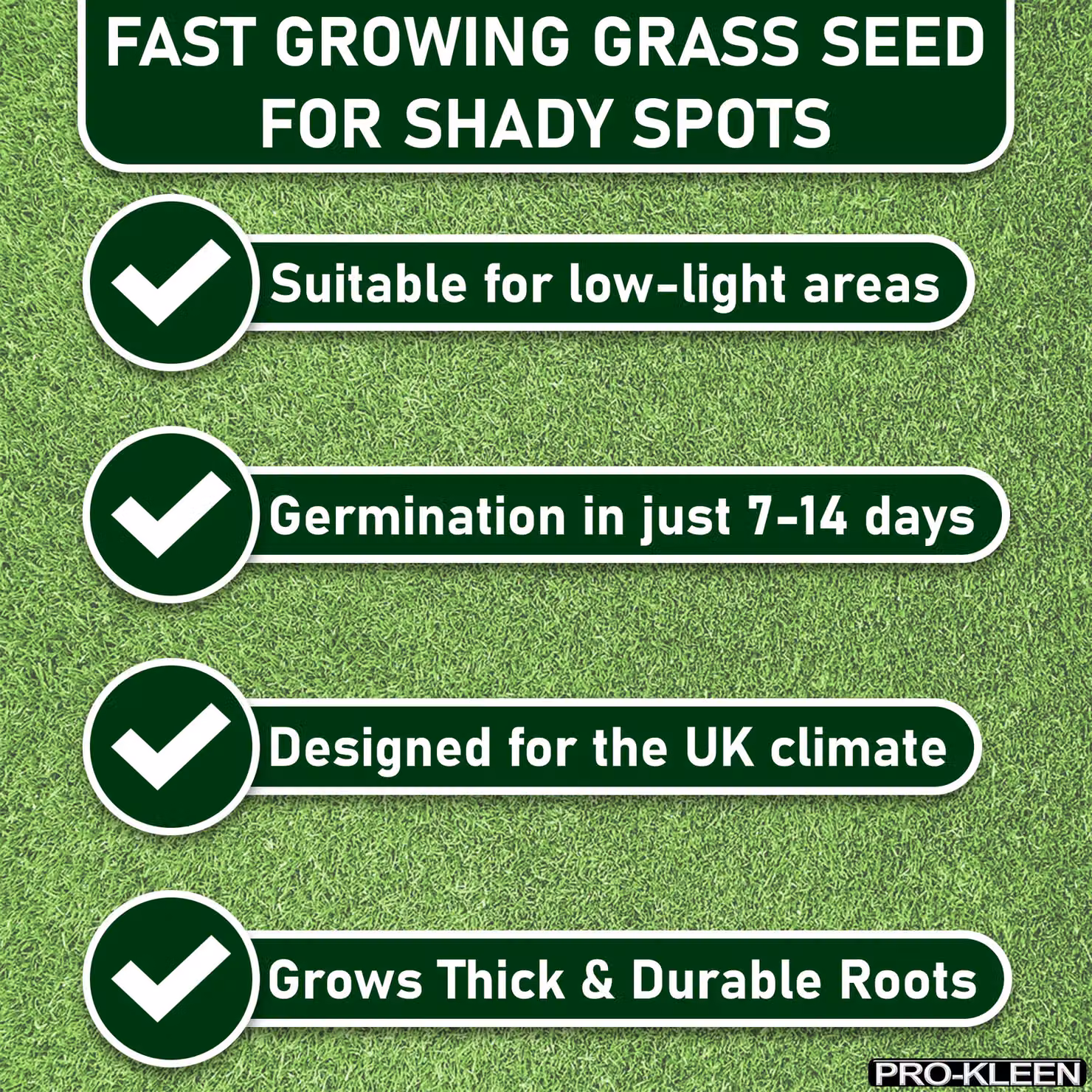 ProKleen Grass Seed for Shady Areas, 5kg – 2