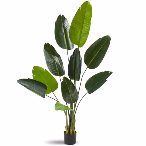 tectake Artificial Bird of Paradise Tree in Green with Detailed Leaves and Bendable Branches, Height: 160 cm