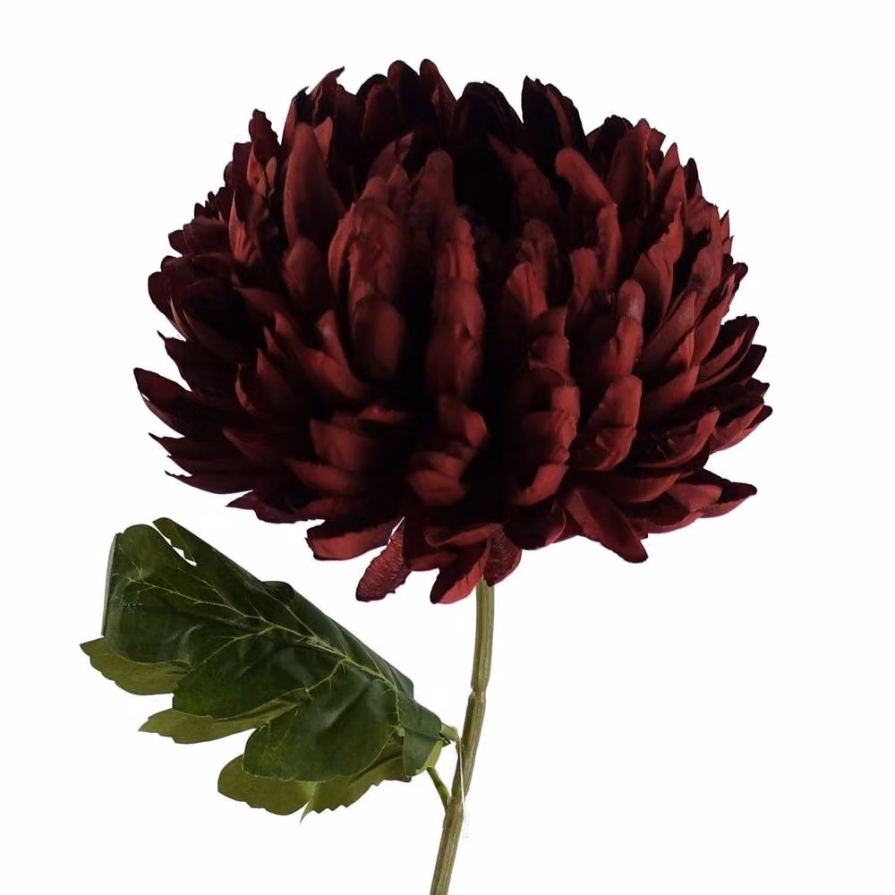 Leaf Pack of 6 Red Artificial Extra Reflex Chrysanthemums, Height: 75 cm – 5