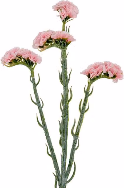 Hill Interiors Statice Artificial Flower Spray in Pink – 1