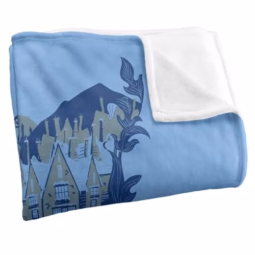 Warner Bros. Harry Potter Hogsmeade Silky Touch Super Soft Fleece Throw Blanket, Multicolour, W: 91.44 cm x D: 147 cm – 2