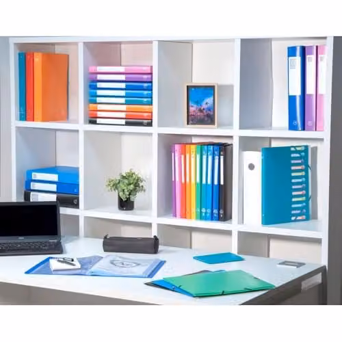 Exacompta OPAK Polypropylene 4 Ring Binder, A4, Multicolour, W: 32 cm, H: 25 cm – 2