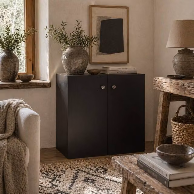 Wyld Haus Cosofi Black Freestanding Storage Cabinet with 2 Doors and 2 Shelves