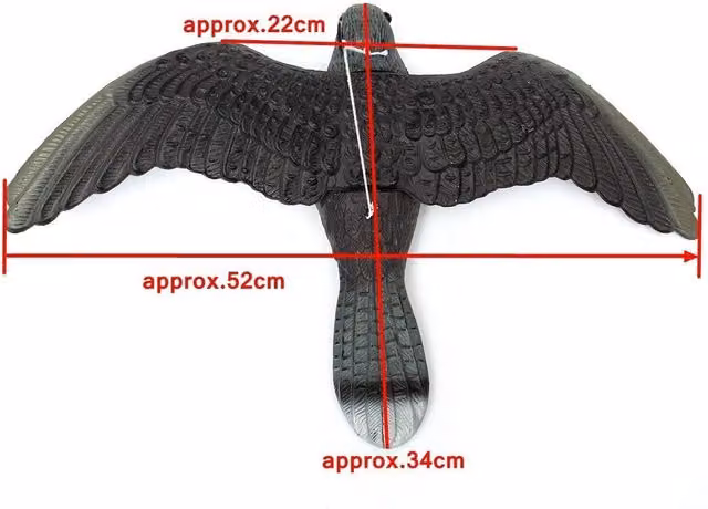 Garden Mile Flying Hawk Pest Control in Grey