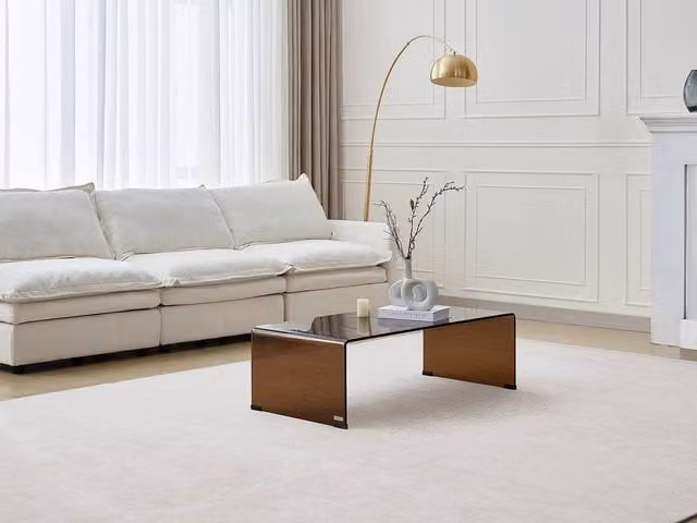 Vente-unique ALONZO Modern Rectangular Coffee Table with Curved Transparent Brown Tempered Glass, W/D/H: 80 x 55 x 35 cm