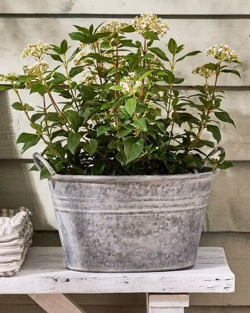 Dibor Vintage Grey Galvanised Steel Trough Bucket Flower Pot with Handles, Diameter: 29 cm, Height: 47 cm – 1