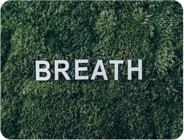 Benjamin Tate Design Wellness Breath Fleece Blanket in Green and Beige, W/D/H: 120 x 150 cm – 2
