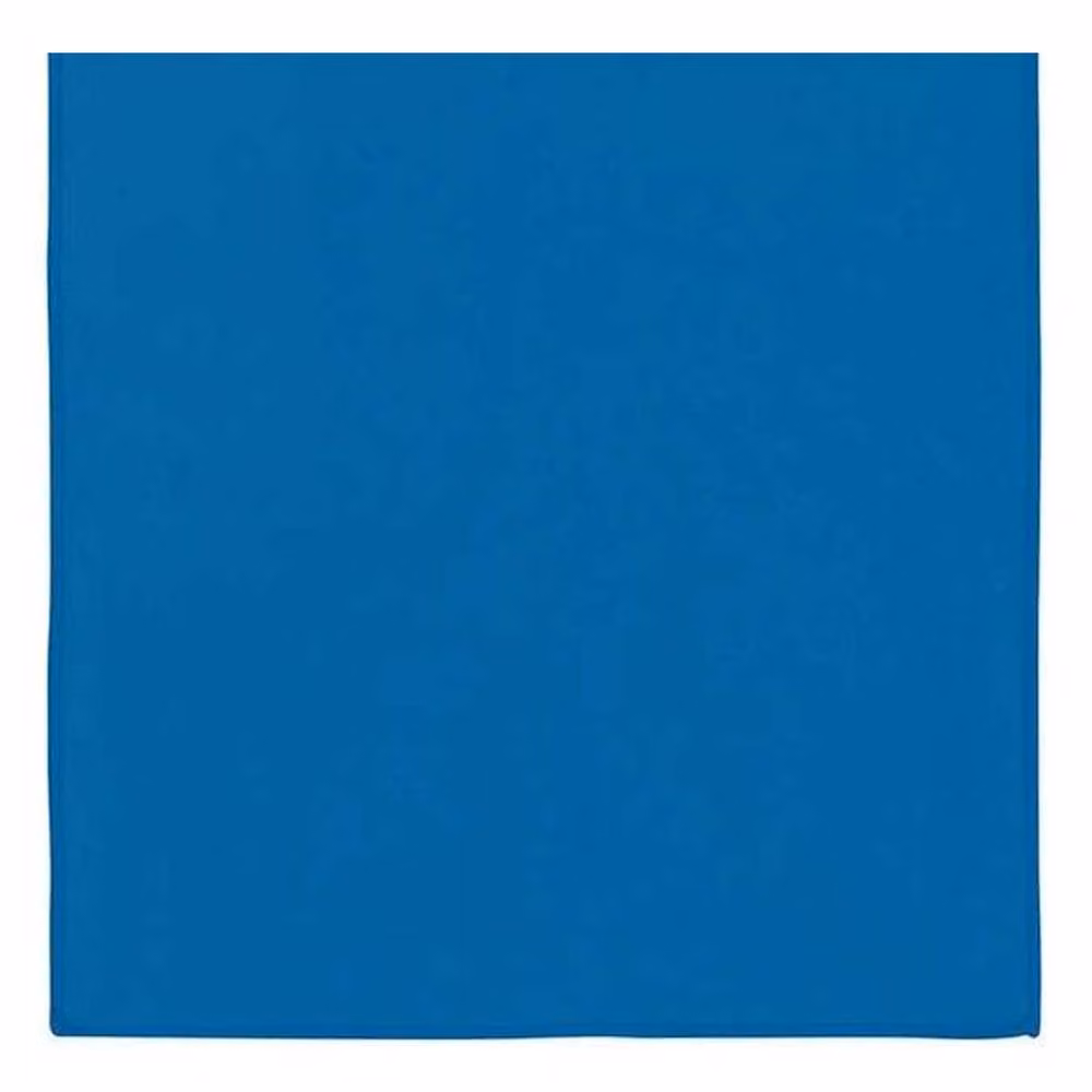 Proact Quick-Drying Microfibre Sports Towel in Blue