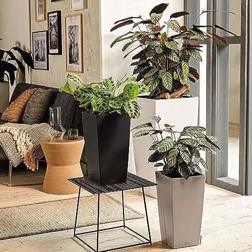 Lechuza CUBICO Color 40 Self Watering Planter, White Plastic Flower Pot for Indoor and Outdoor Use, H75 x W40 x D40 cm – 3