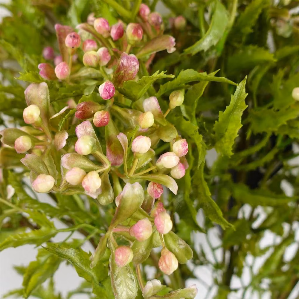 Leaf Design Pack of 6 Pink and Green Artificial Foliage Stems with Berries, Height: 55 cm – 3