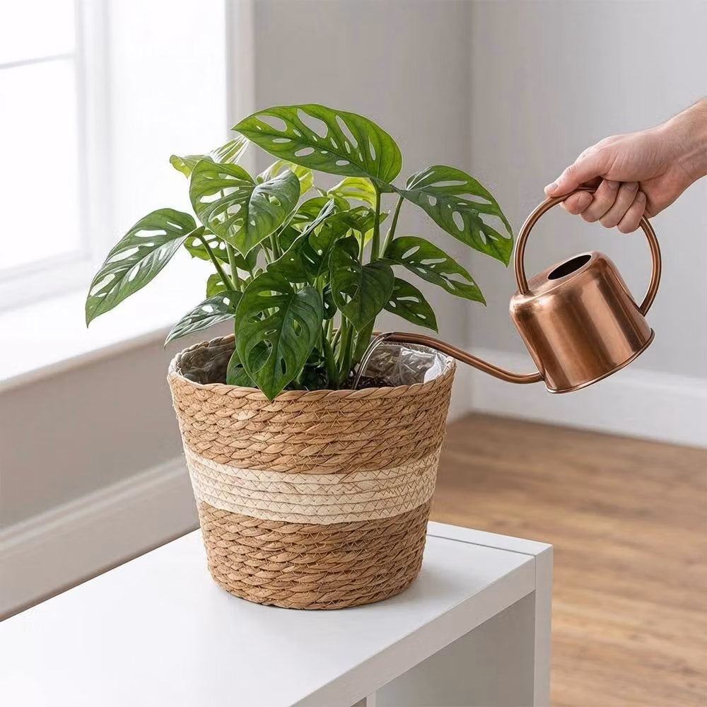 Havendro Seagrass Planter Basket for Indoor or Outdoor Use, Brown – 4