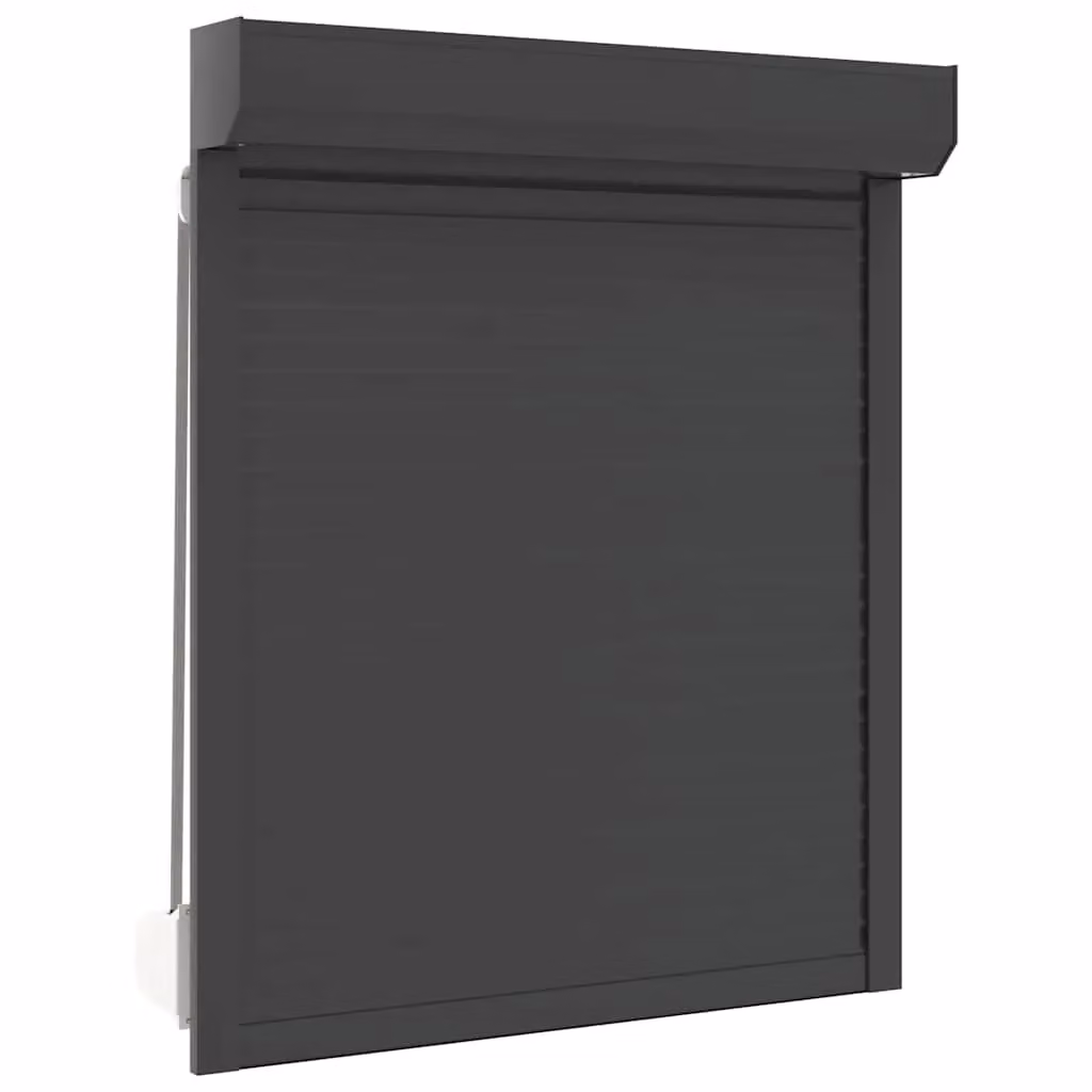 Berkfield Home Manual Aluminium Roller Shutter, Anthracite, W: 100 cm, H: 120 cm – 2