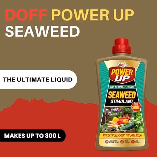 Doff Power Up Liquid Seaweed Plant Stimulant, 1 l – 3