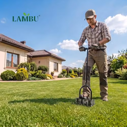 Lambu Manual Lawn Aerator with 15 Steel Spikes and Adjustable Handle in Black – 8