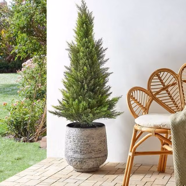 Wyld and Coco 120 cm Green Cedar Tree with Realistic Foliage and Wood Effect Trunk