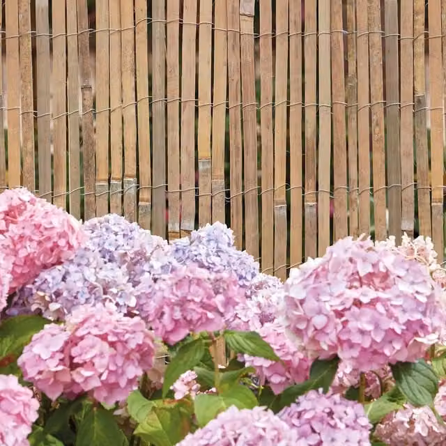 Garden Gear Woven Bamboo Slat Screen Roll, Brown, W: 4 m, H: 1.8 m
