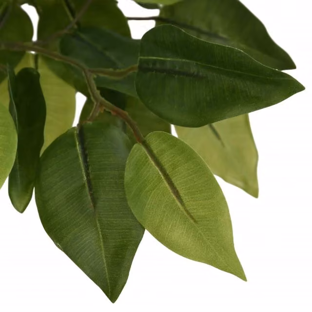 Berkfield Home Realistic Artificial Ficus Tree, Green, Height: 180 cm – 1