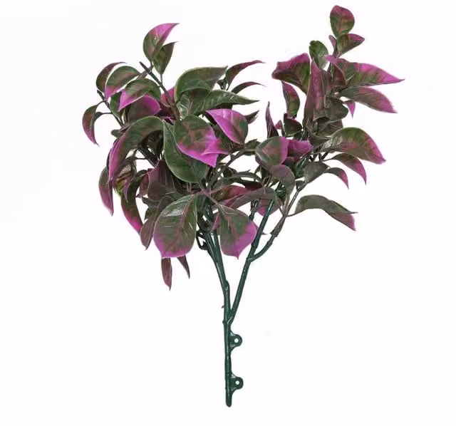 KDMD Purple Pointy Bush Green Plant, 3 Pack, Height: 25 cm