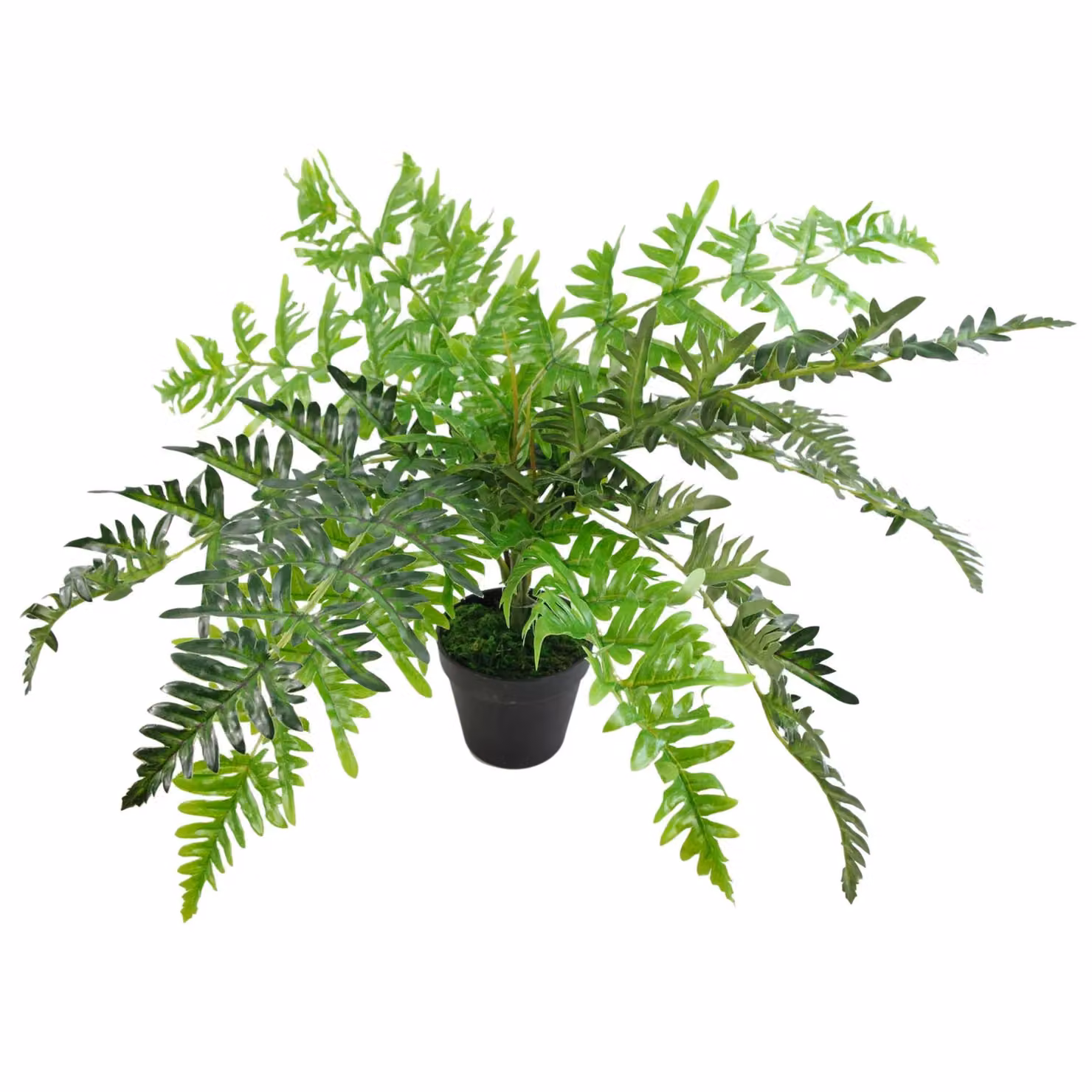 Leaf Design Realistic Artificial Potted Fern Plant in Green, Height: 50 cm – 2