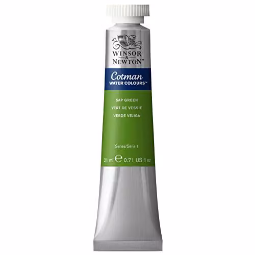 Winsor and Newton Cotman Watercolour Paint, Sap Green, 21ml – 2