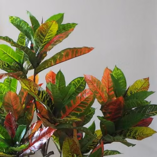 Botanik Artificial Potted Office Tree in Green, Orange and Yellow, H 130 cm x W 60 cm x D 60 cm – 2