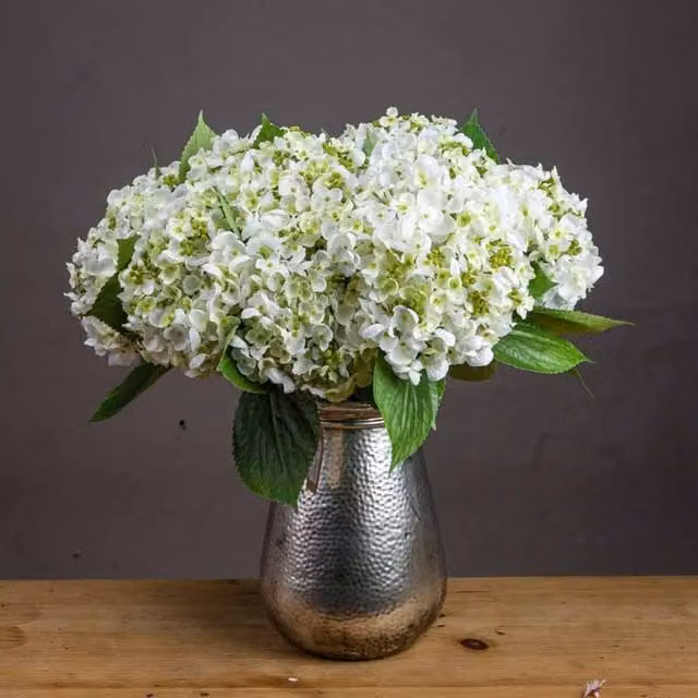 Lemon Pavilion White Lace Cap Hydrangea Artificial Plant, W25 x D25 x H48 cm – 1