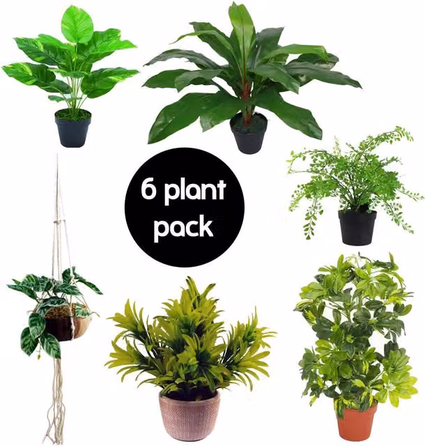 Leaf Pack of 6 Mixed Artificial Potted Plants in Green