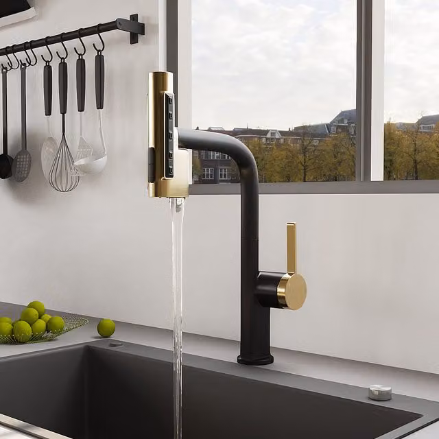 Darphe Kitchen Mixer Tap with Pull-Out Sprayer and 5 Spray Modes in Gold and Black