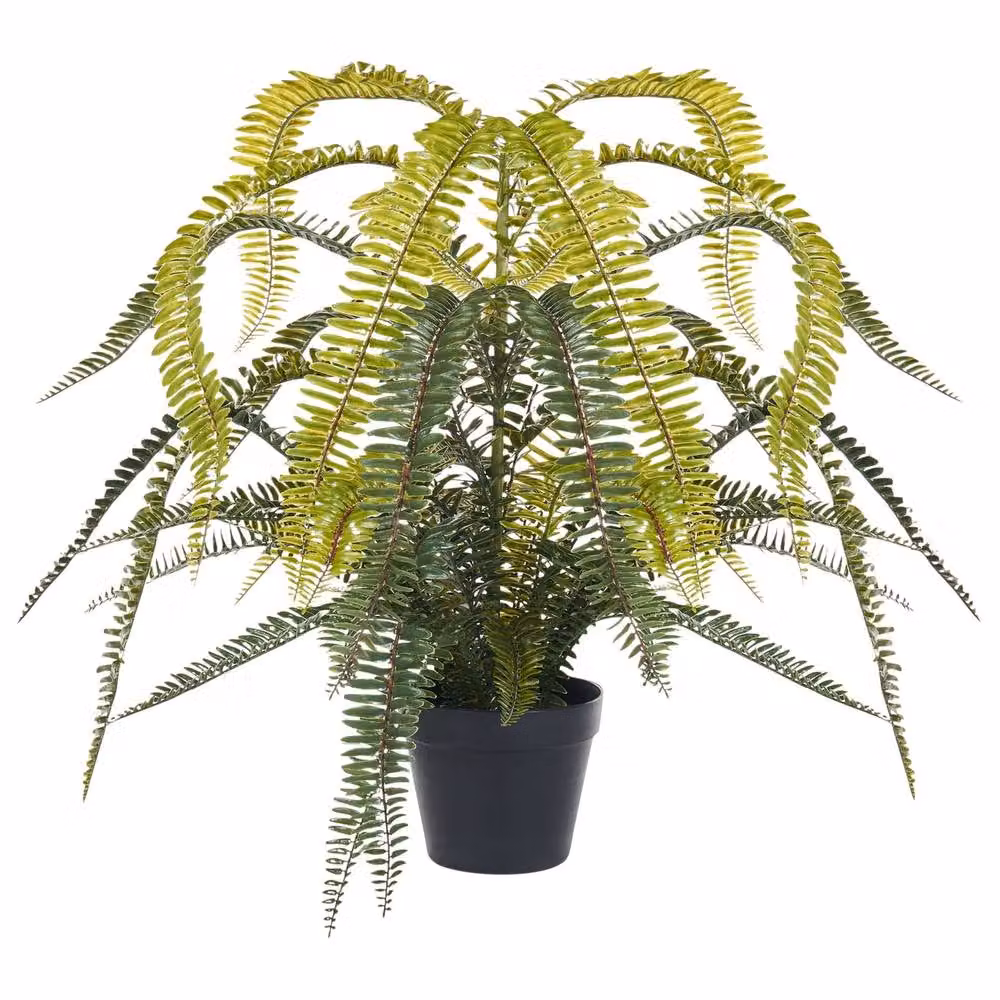 Wyld and Coco Lifelike Evergreen Potted Fern in Green with Concrete Base, Height: 105 cm – 1