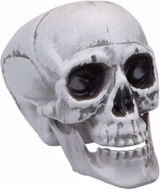 KDMD 2 Pack Large Grey Skull Tabletop Decorations with Moving Jaw – 1
