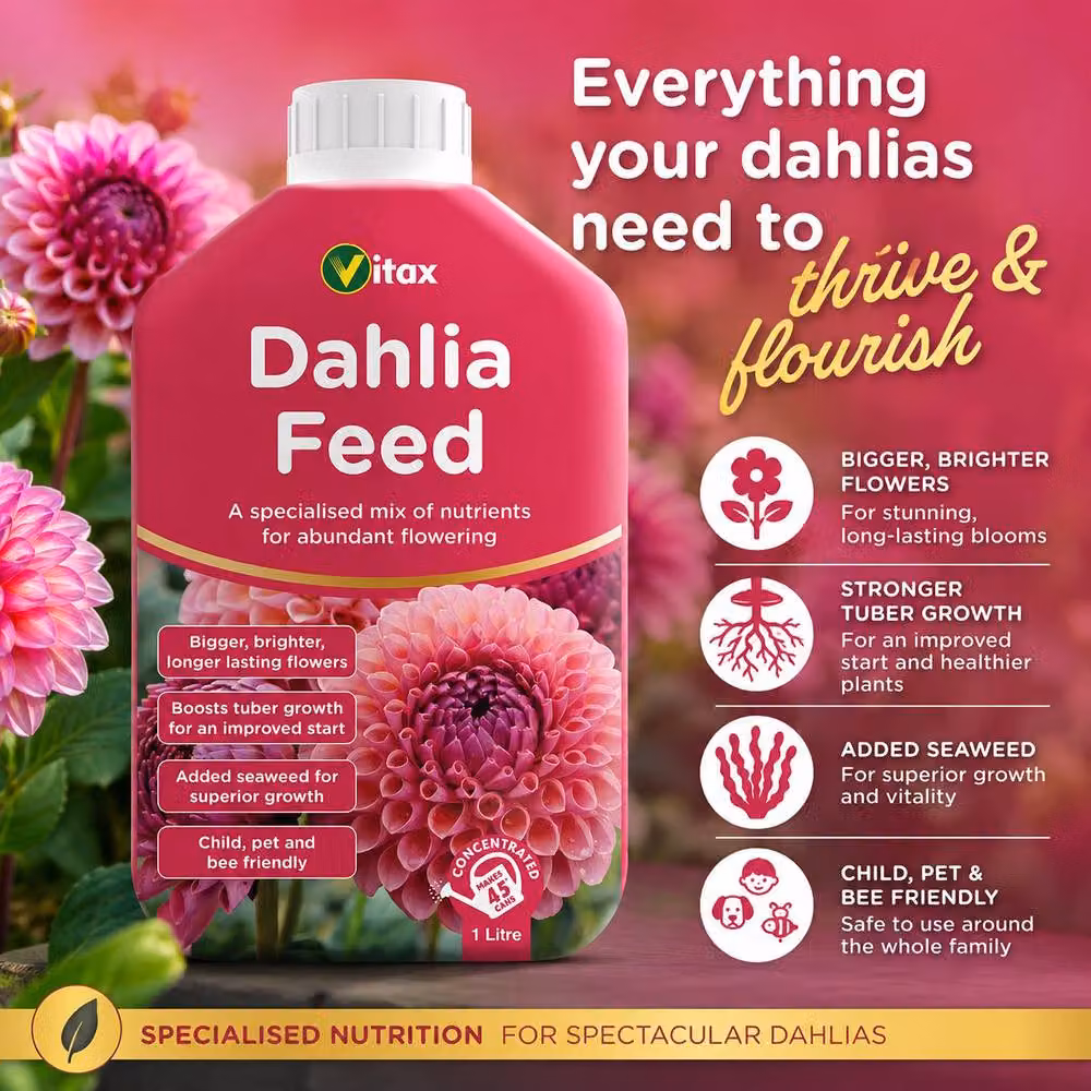 Vitax Dahlia Plant Feed with Seaweed, 1 l – 2
