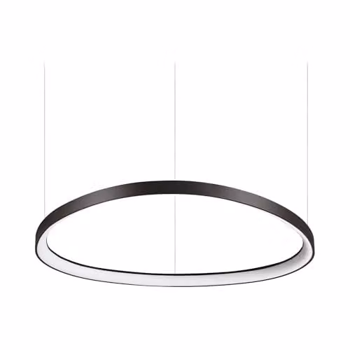 Netlighting Gemini LED Suspended Ring Pendant Light Black, 3000K Warm White – 1