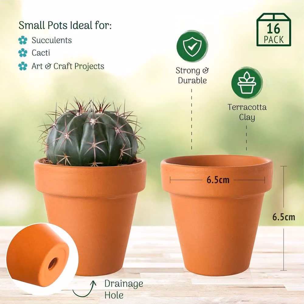 Green Thumbz Pack of 16 Brown Terracotta Clay Garden Plant Pots for Seed Starters, Succulents and Indoor Plants, Diameter: 8 cm – 2
