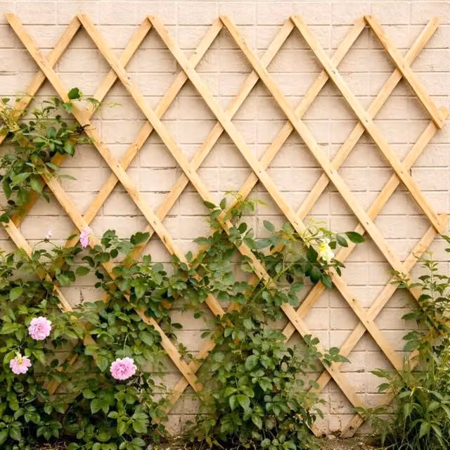 Marco Paul Brown Wooden Expanding Trellis Support, H 180 cm x W 60 cm – 1