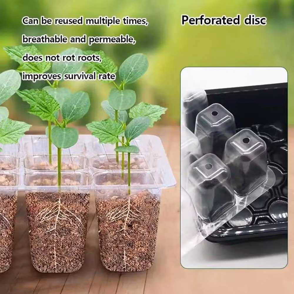 FLAVORA 10 Pack Green Transparent Plastic Seed Starter Planter Trays – 4