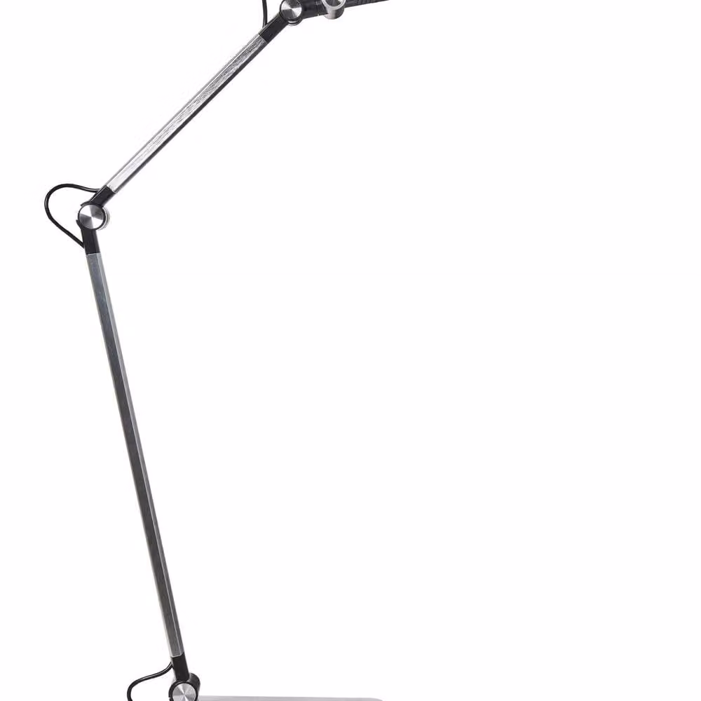 Wyld and Coco Silver Desk Lamp with Adjustable Arm, Dimmable Touch Control and 3 Colour Temperatures – 2