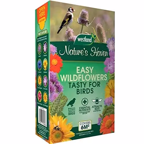 Unwins Nature's Haven Easy Wildflowers for Birds, Multicolour, 1.2kg