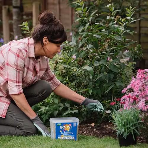 Westland Slow Release Plant Food and Tonic, 2kg – 3