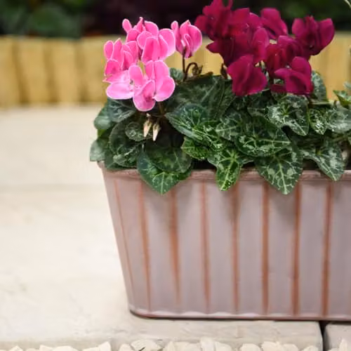 Garden Gear Rust Effect Metal Trough Planter in Brown, W: 38 cm, D: 17 cm, H: 15 cm – 4