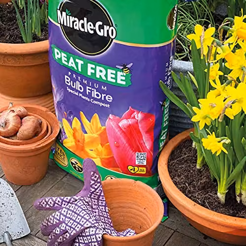 Miracle-Gro Premium Bulb Fibre Peat Free Compost, 20 Litre Bag, Purple – 6