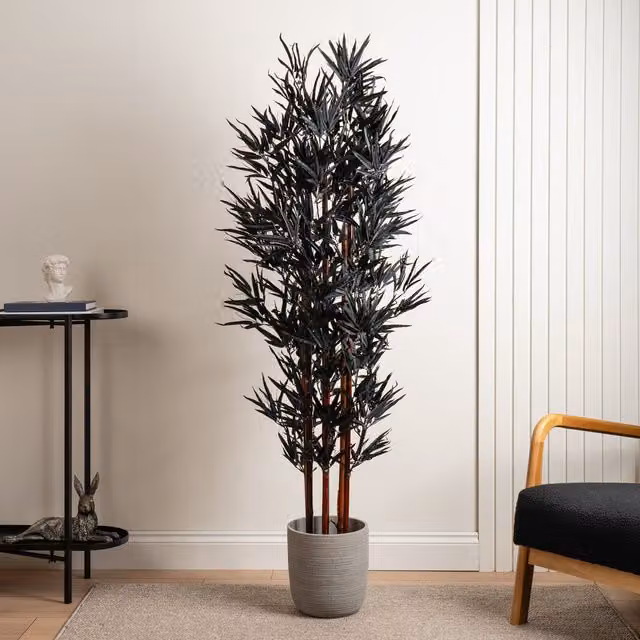 Scottish Everlastings Ltd Black Bamboo Tree, Height: 157 cm – 1