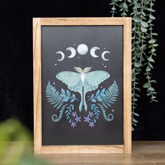 Uniqueful Luna Moth Multicolour Wooden Framed Wall Art, W: 26 cm x H: 35 cm – 1