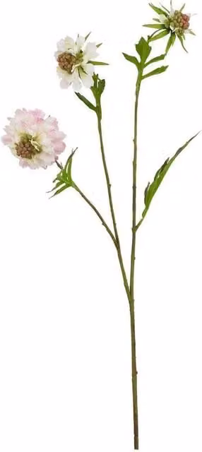 Lemon Pavilion Furniture and Decor Pale Pink Artificial Scabious Flower Stem