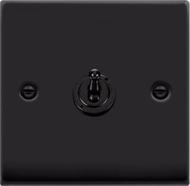 SE HOME Black Two Way Flush Plate Light Switch