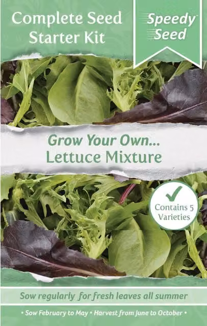 Speedy Seed Complete Lettuce Vegetable Seed Starter Kit, Green