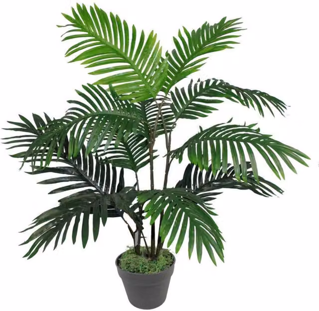 Leaf Design UK Artificial Green Potted Tabletop Tree with Moss Base