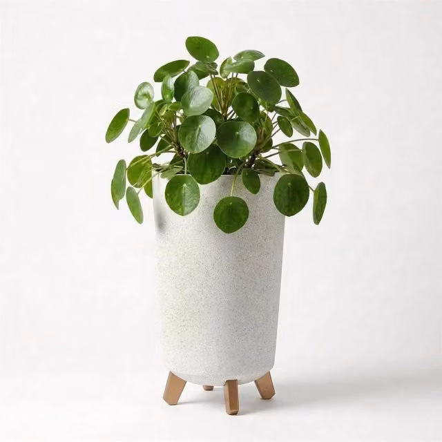 KORVIXA Tall Round Plant Pot with Wood Legs in White – 1